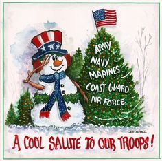 A Cool Salute To Our Troops